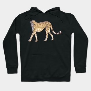 Cheetah - Big Cat - Predator - Africa Hoodie